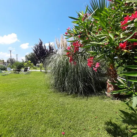 Mertur * Ciftlikkoy (Marmara)