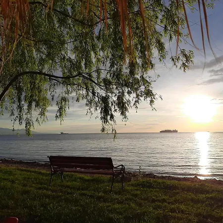 Mertur * Ciftlikkoy (Marmara)