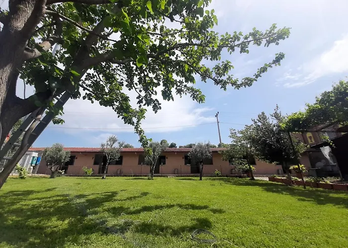 Mertur * Çiftlikköy